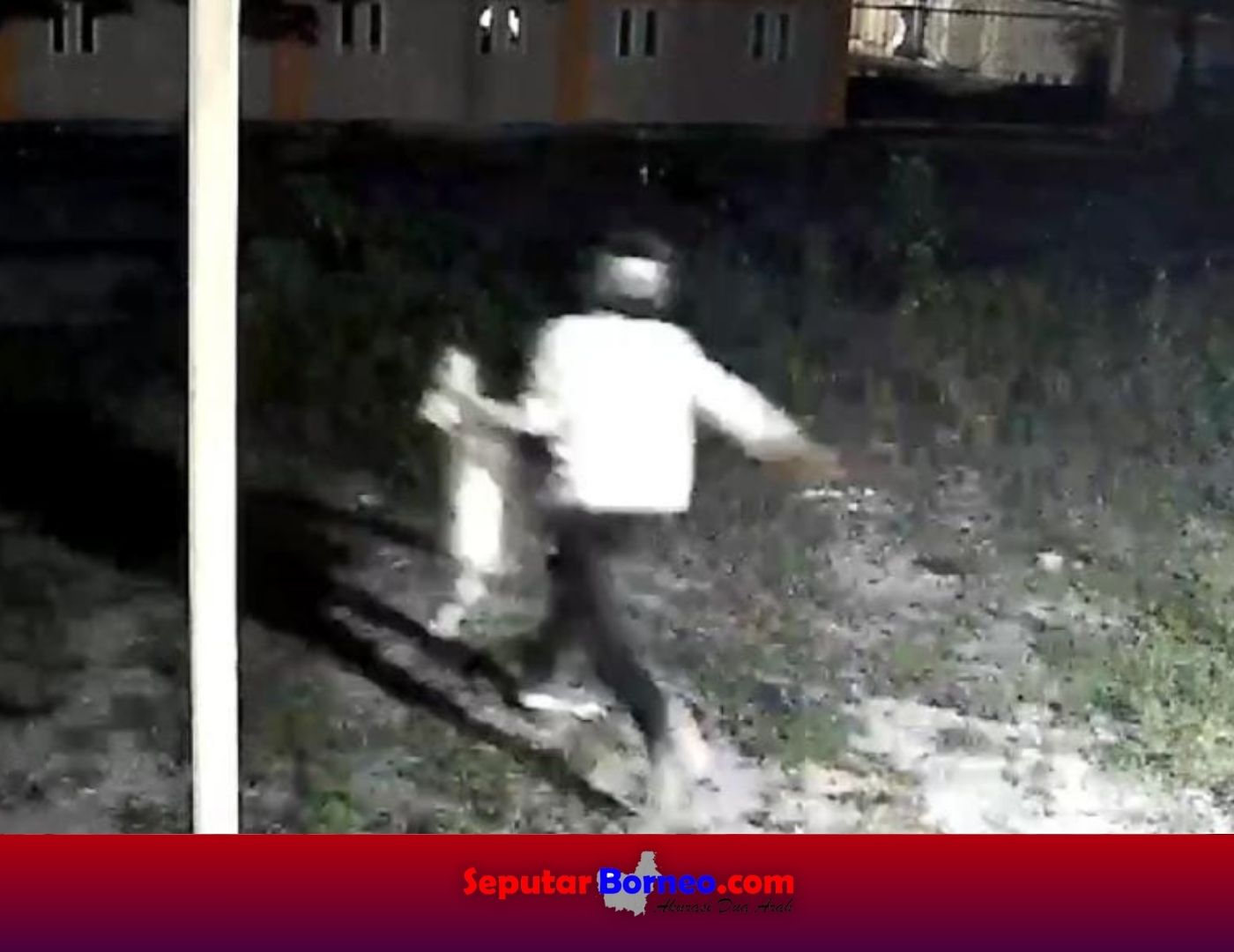 Pencuri Anjing Modus Lempar Daging Ayam Beracun Terekam CCTV