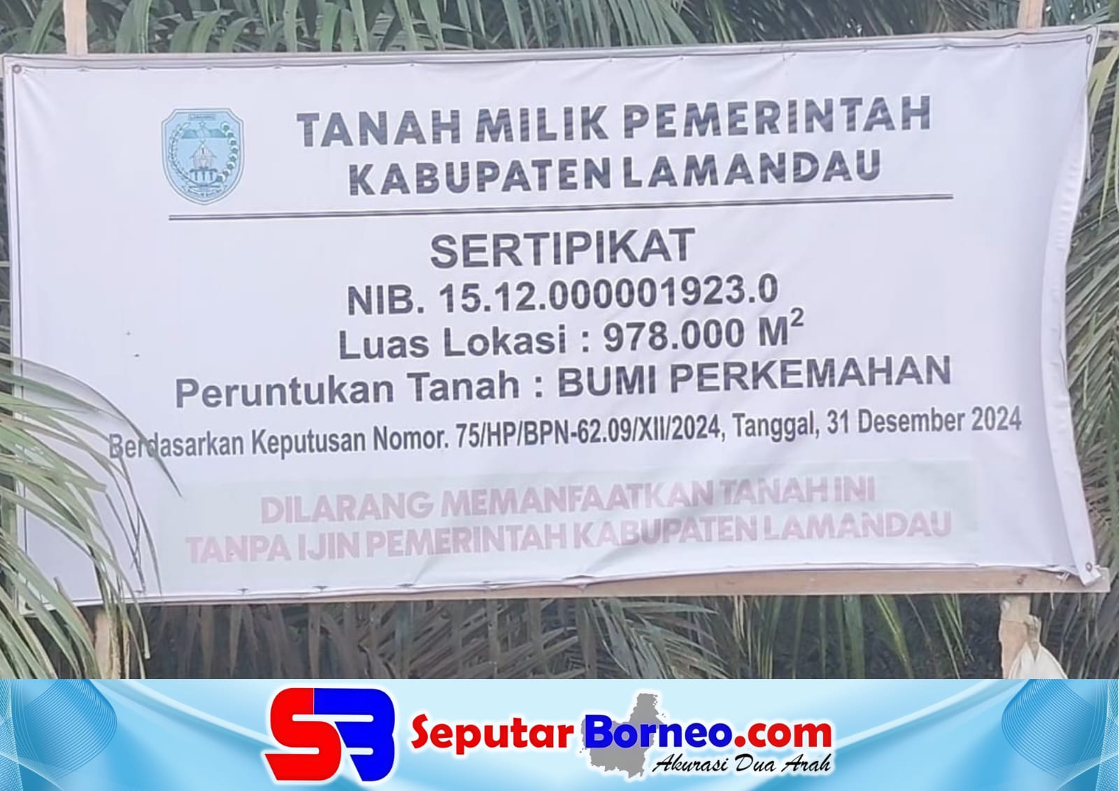 Lahan Bumi Perkemahan Milik Pemkab Lamandau Berubah Jadi Kebun Sawit
