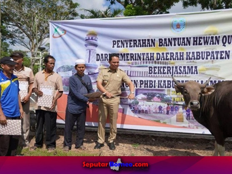 Bupati Lamandau Serahkan 60 Hewan Kurban Kepada Panitia Masjid