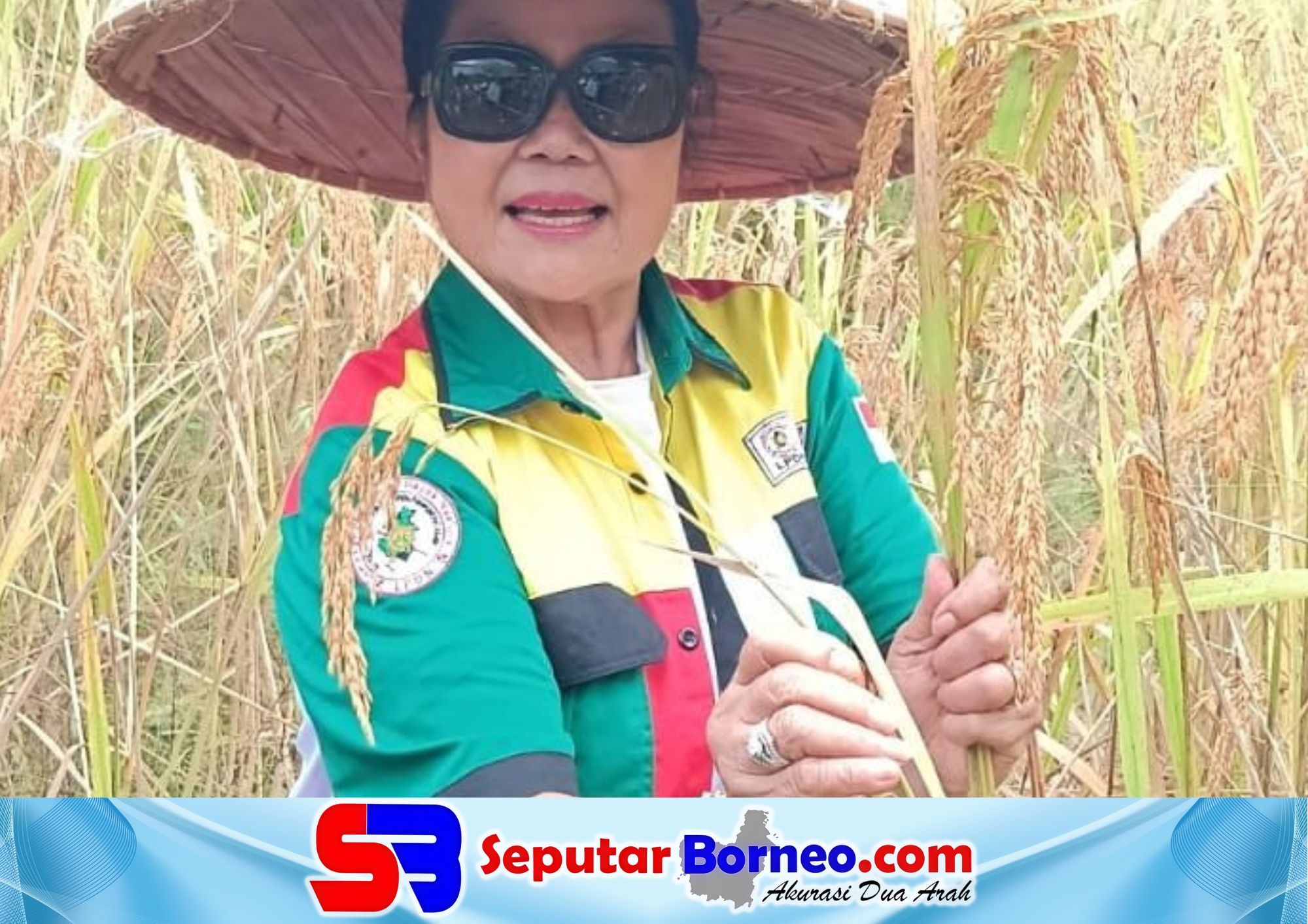 DPRD Kalteng Apresiasi Panen Raya Padi di Kapuas