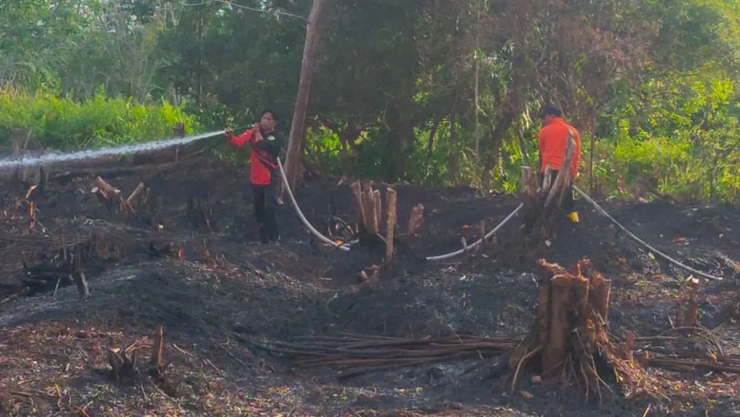 Enam Lahan di Palangka Raya Terbakar