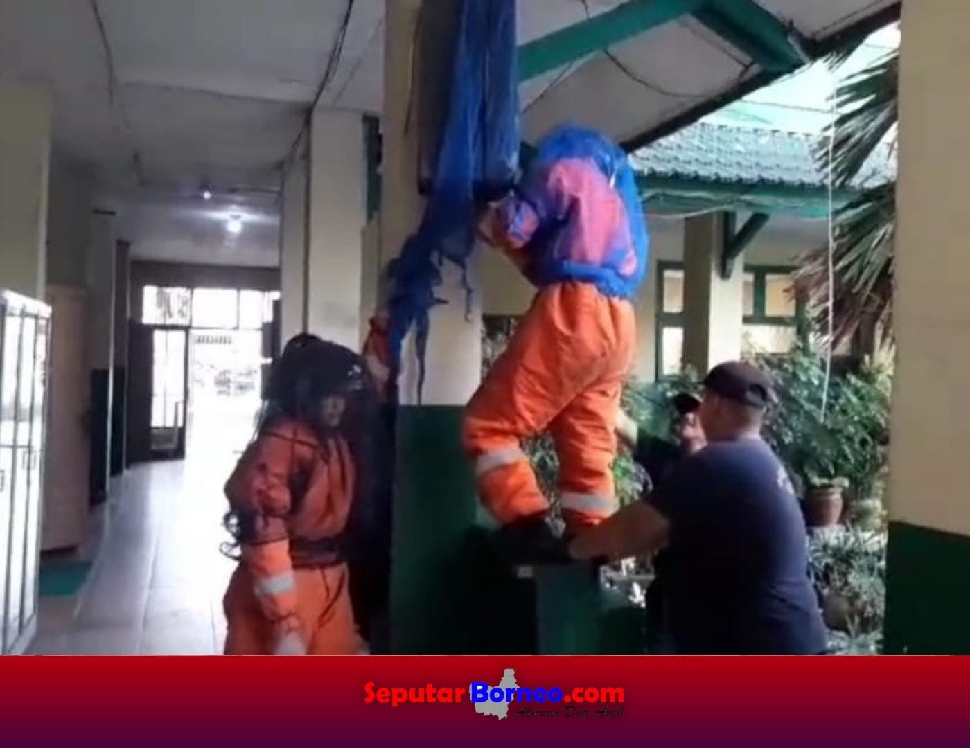 Tim Damkar Evakuasi Sarang Tawon yang Sempat Sengat Siswa
