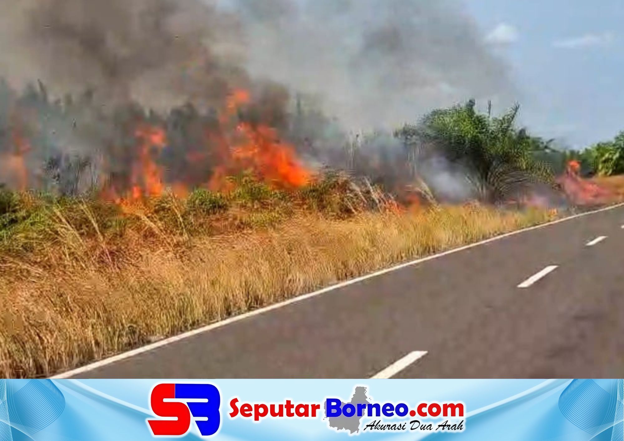 Karhutla di Kotim Meluas, Krisis Air Bersih Terancam Lama