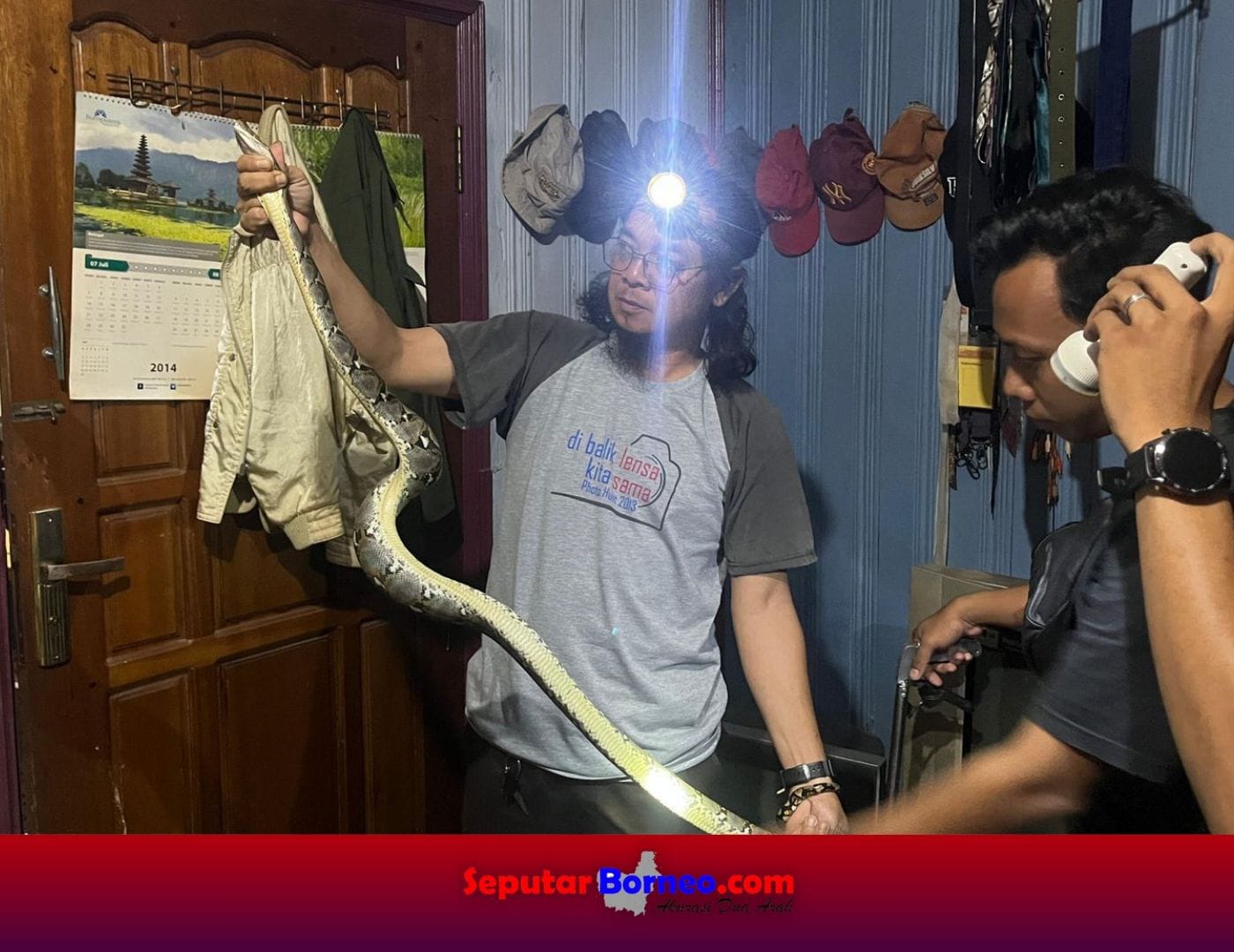 Tujuh Hewan Liar Dievakuasi Dari Rumah Warga