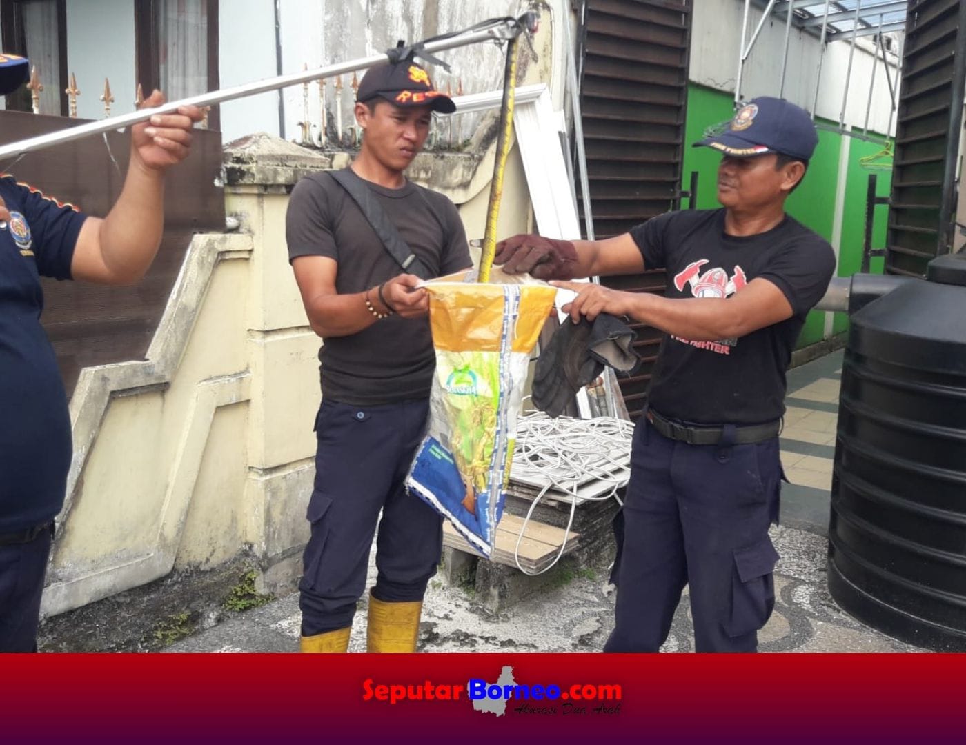 Masuk Dapur Rumah Warga, King Cobra Sembunyi Dibalik Tabung Elpiji