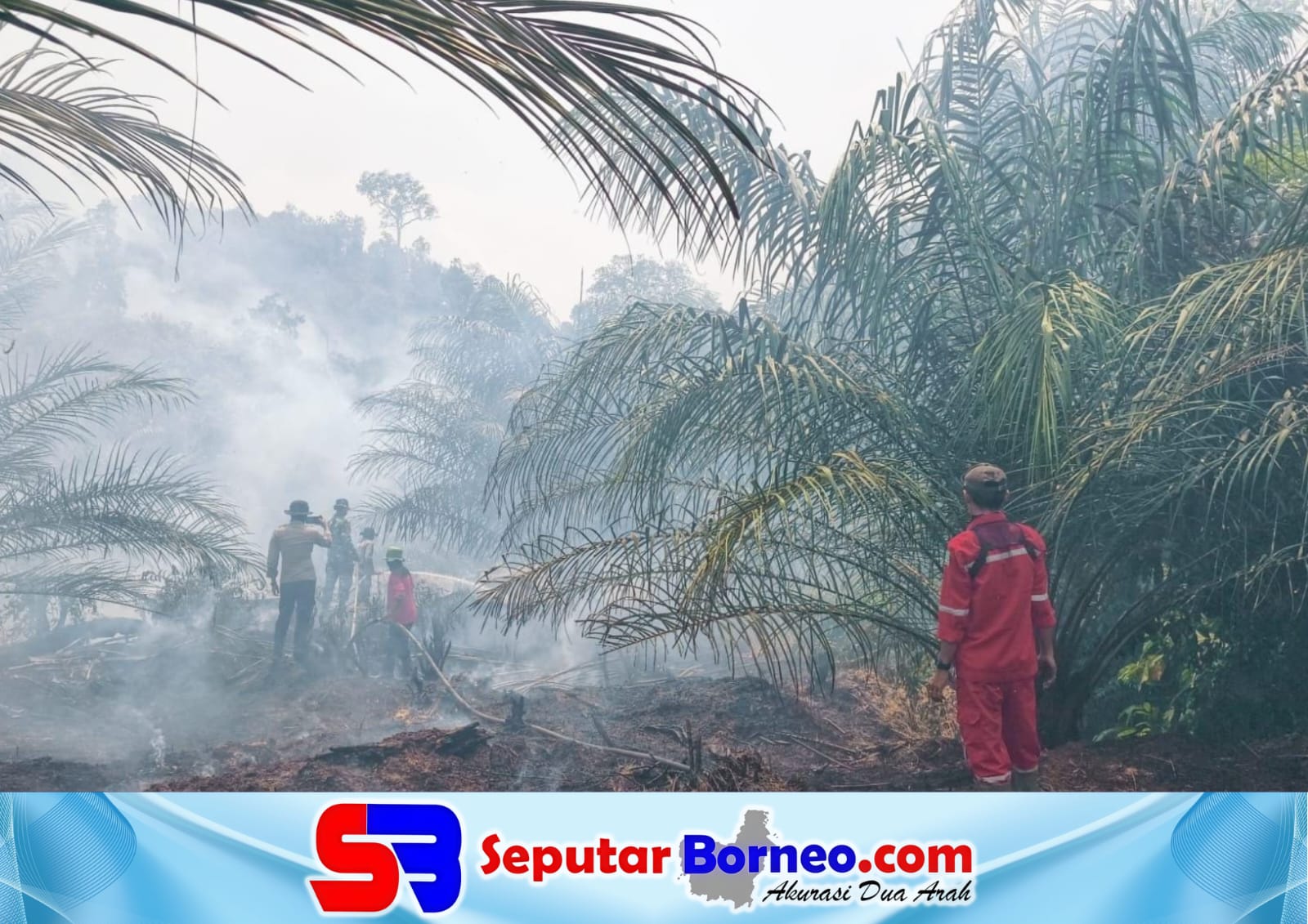 Karhutla di Penopa Jadi Perhatian, Tim Gabungan Sisir Lokasi Hotspot