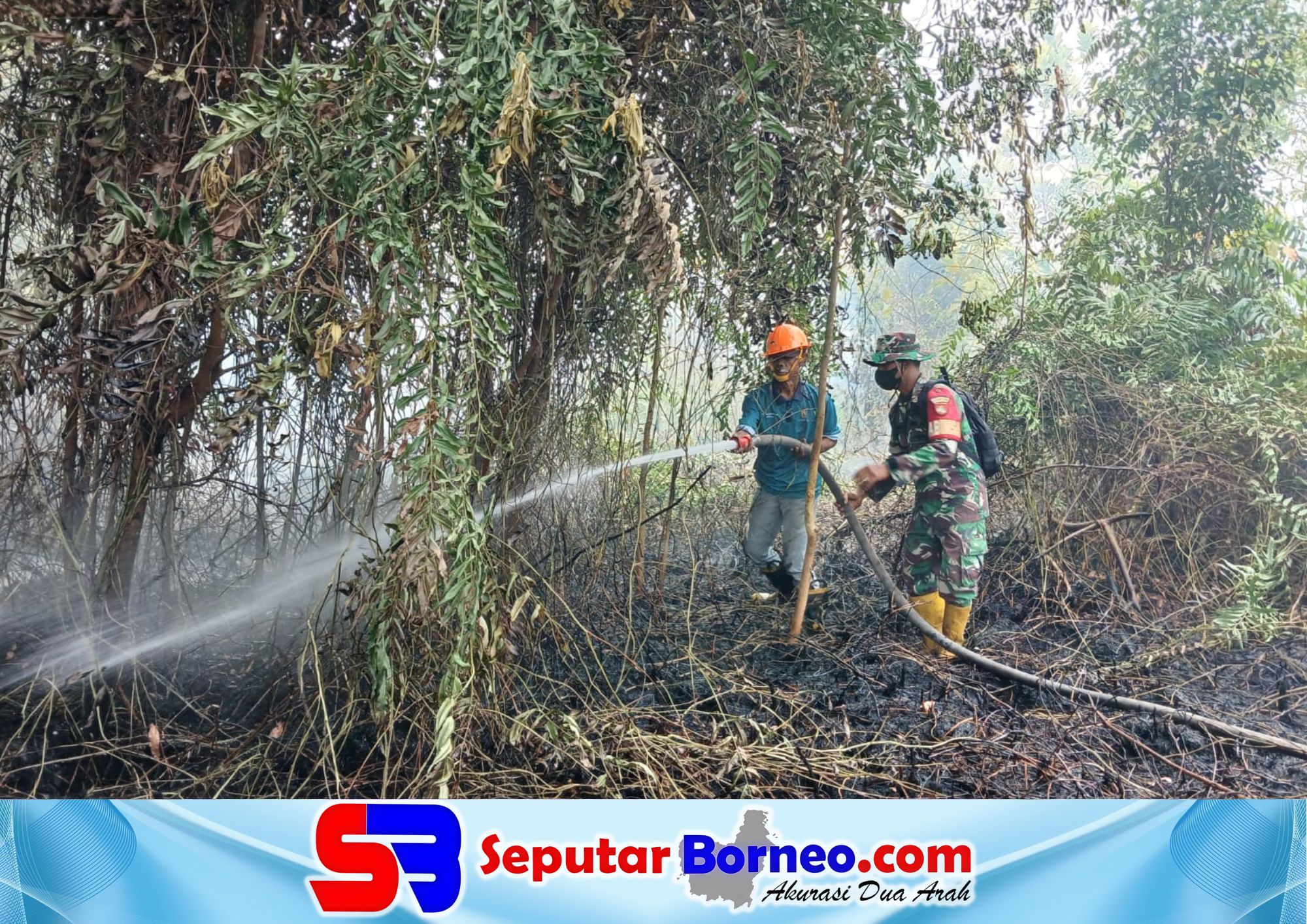 TNI Bergerak Cepat Padamkan Karhutla di Kalampangan
