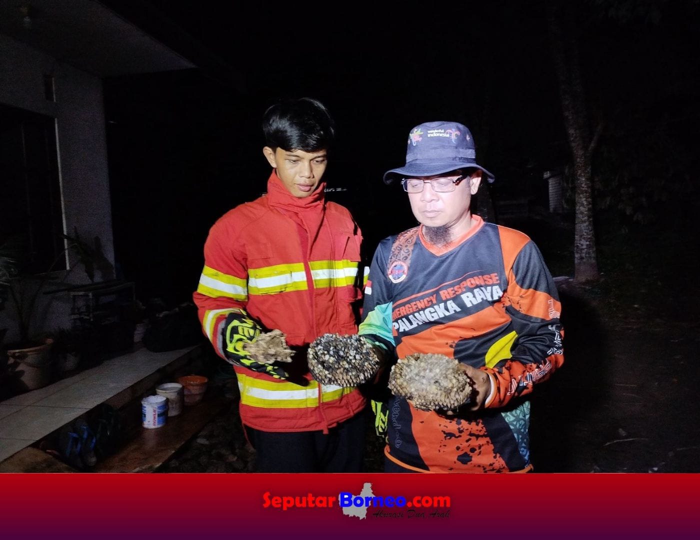 Sarang Tawon Ndas Dibakar Usai Serang Anak Kecil