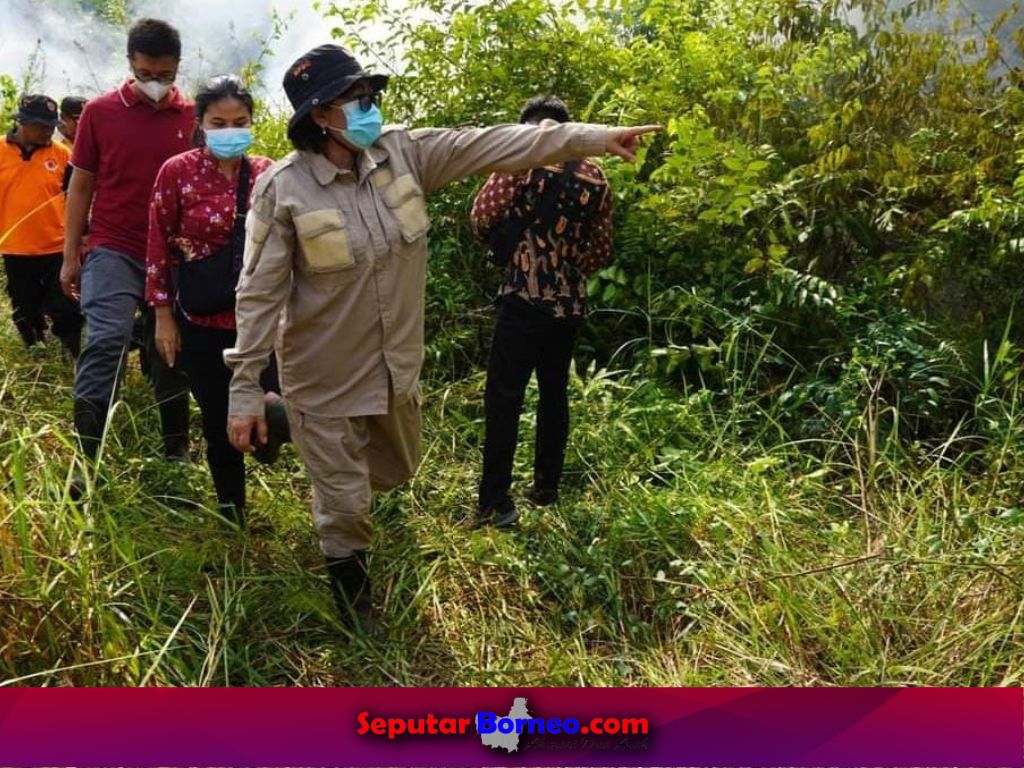 Pj Bupati Lamandau Tinjau Dua Titik Lokasi Karhutla