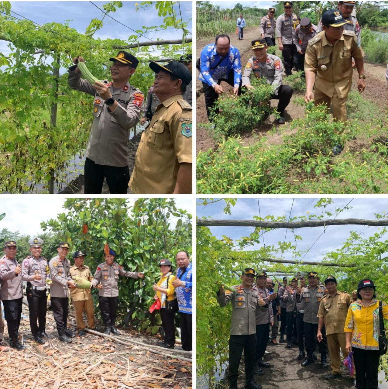 Pengembangan dan Penguatan ketahanan pangan di Kabupaten Kapuas
