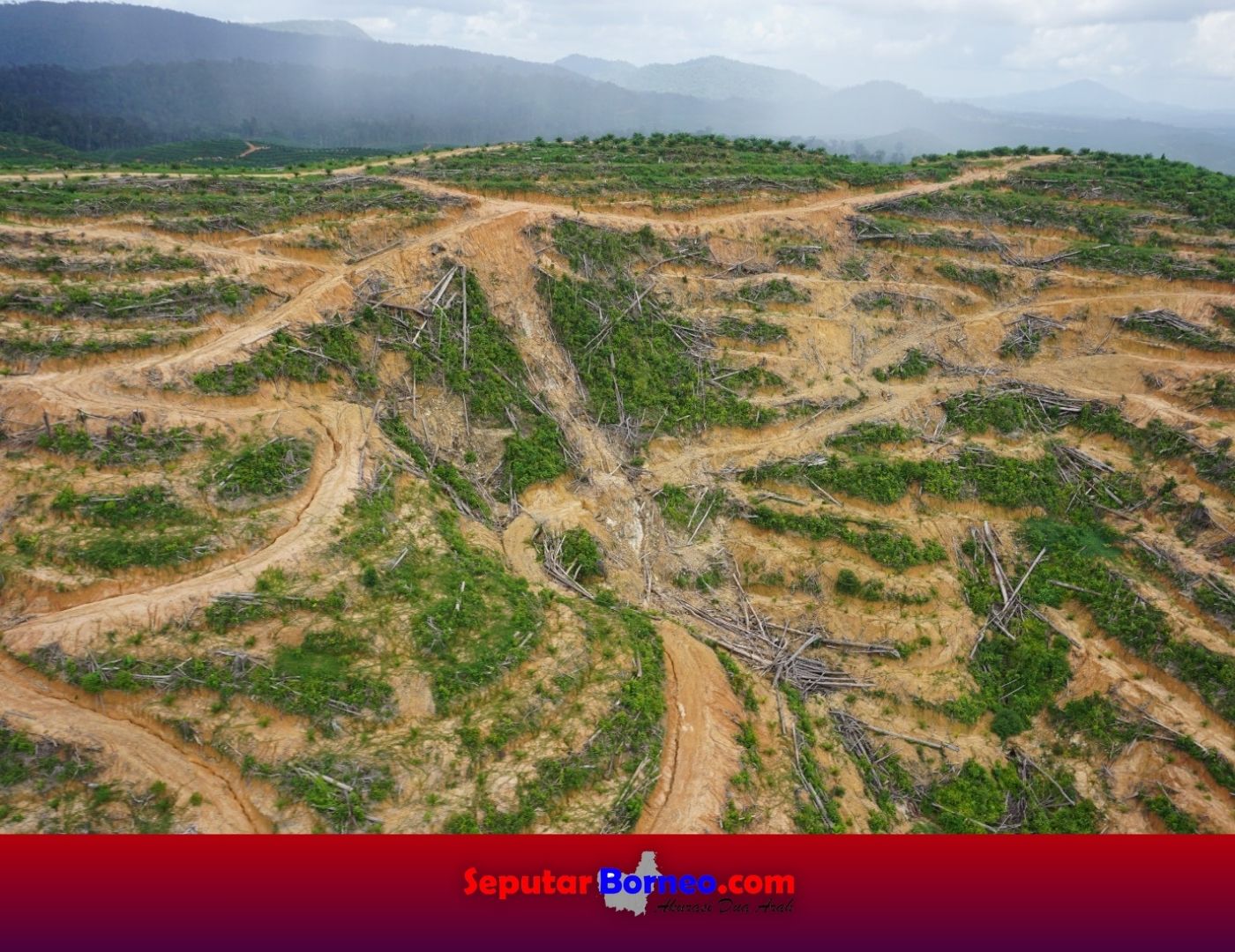 Bertahun Berkonflik di Hutan Adat, Masyarakat Kinipan Serahkan Delapan Tuntutan ke Menteri LHK