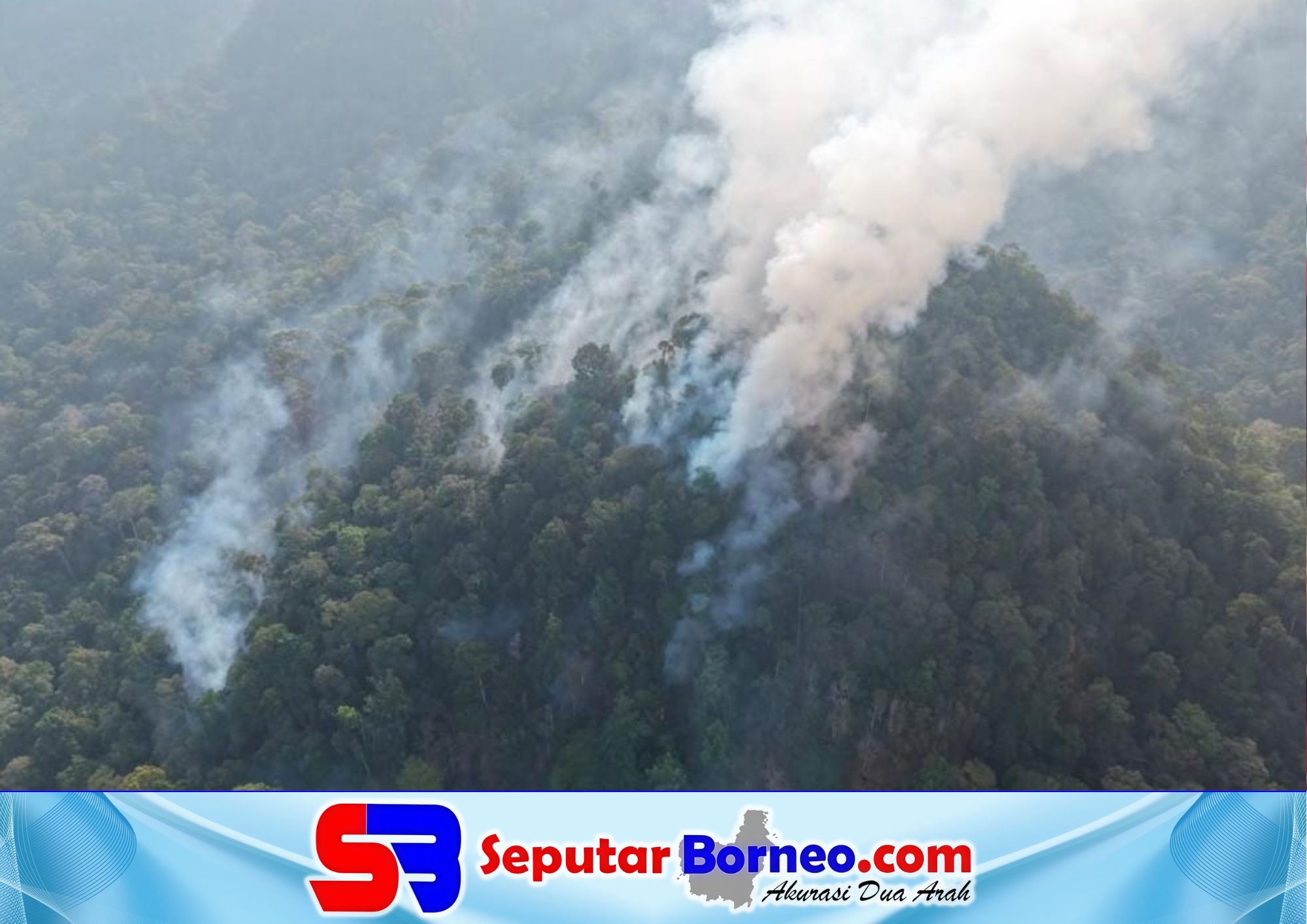 Bukit Sebayan Terbakar, Hutan Lindung Lamandau Terancam