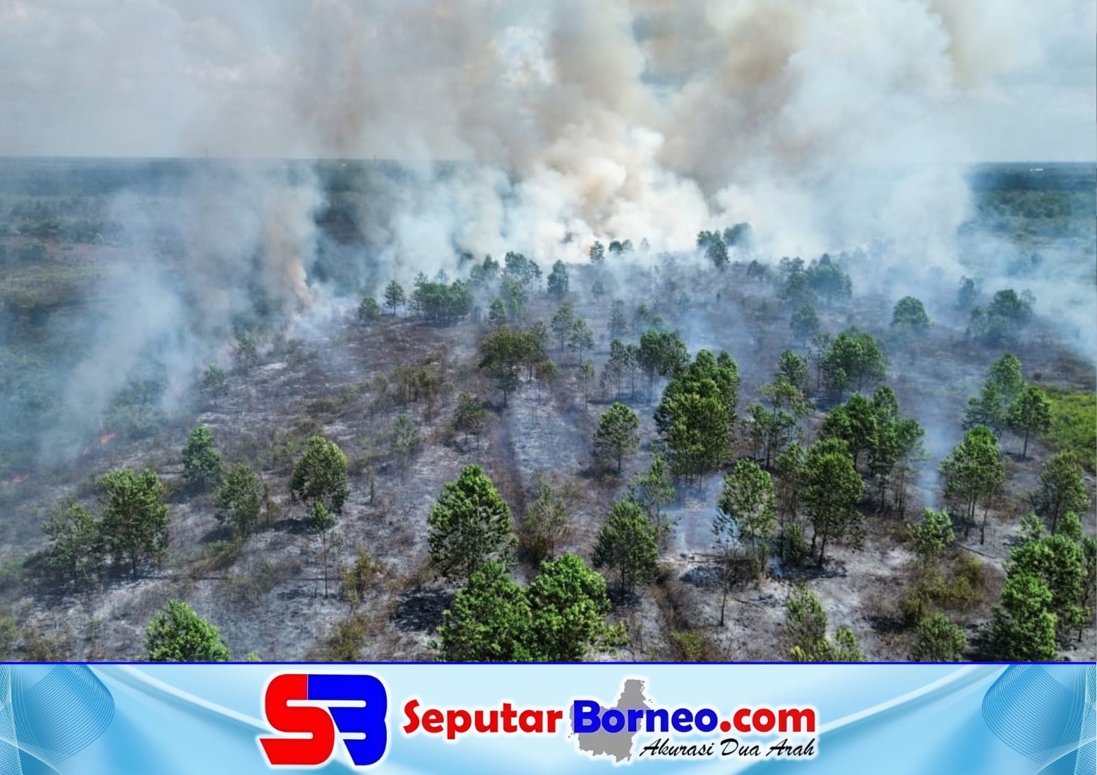 Karhutla Mengancam, Pemkab Kotim Siapkan Opsi Ubah Jam Sekolah