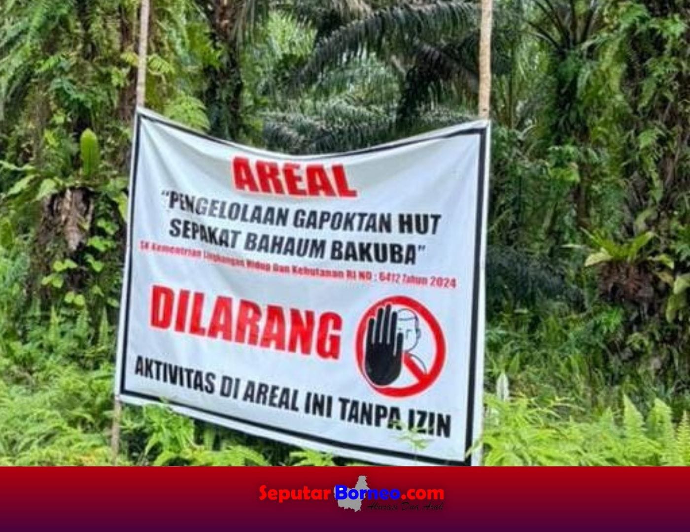 Anggota KTH Lamandau Minta Pengurus Gapoktanhut Harus Dievaluasi