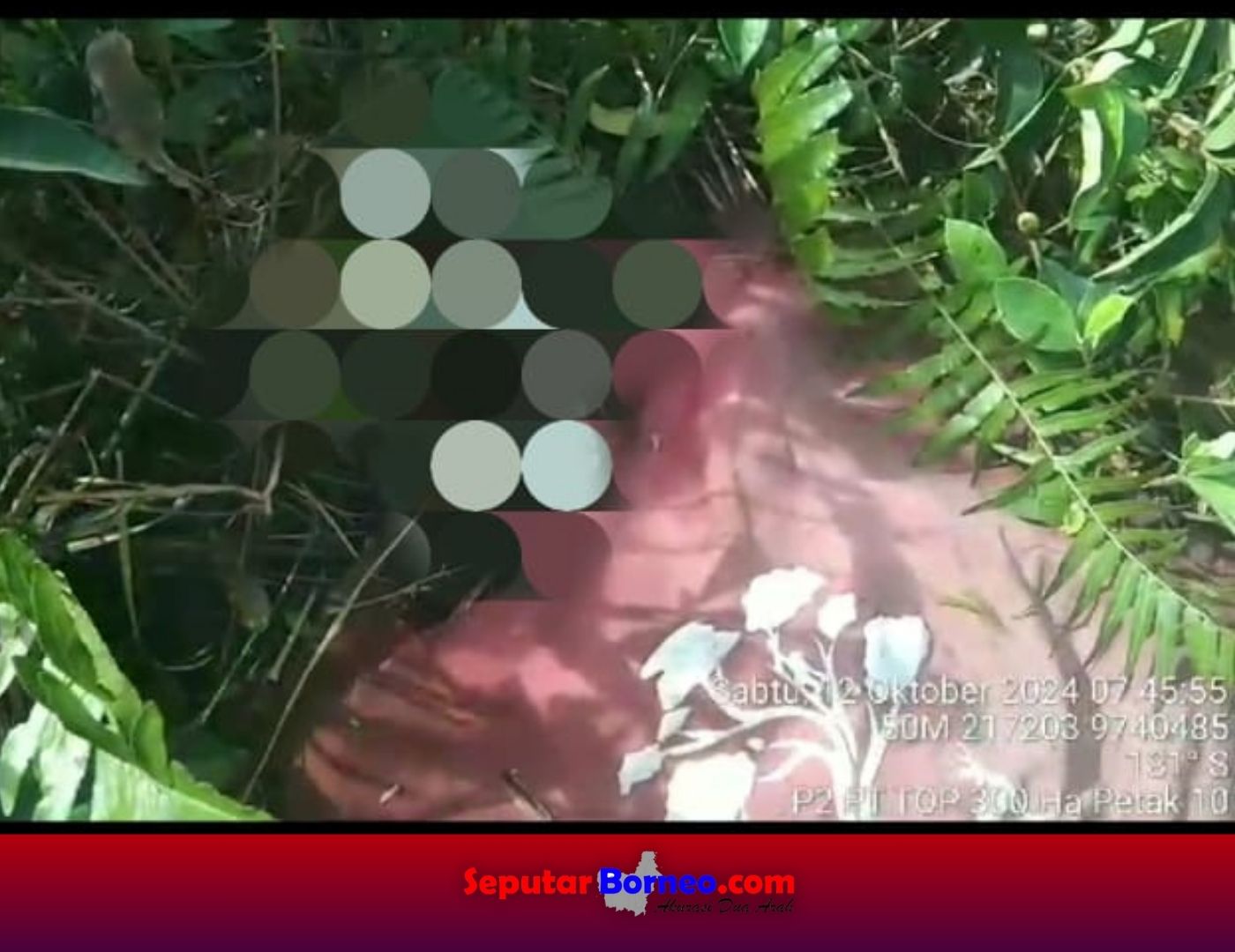 Tengkorak Manusia Ditemukan di Hutan Kapuas Masih di RS Bhayangkara