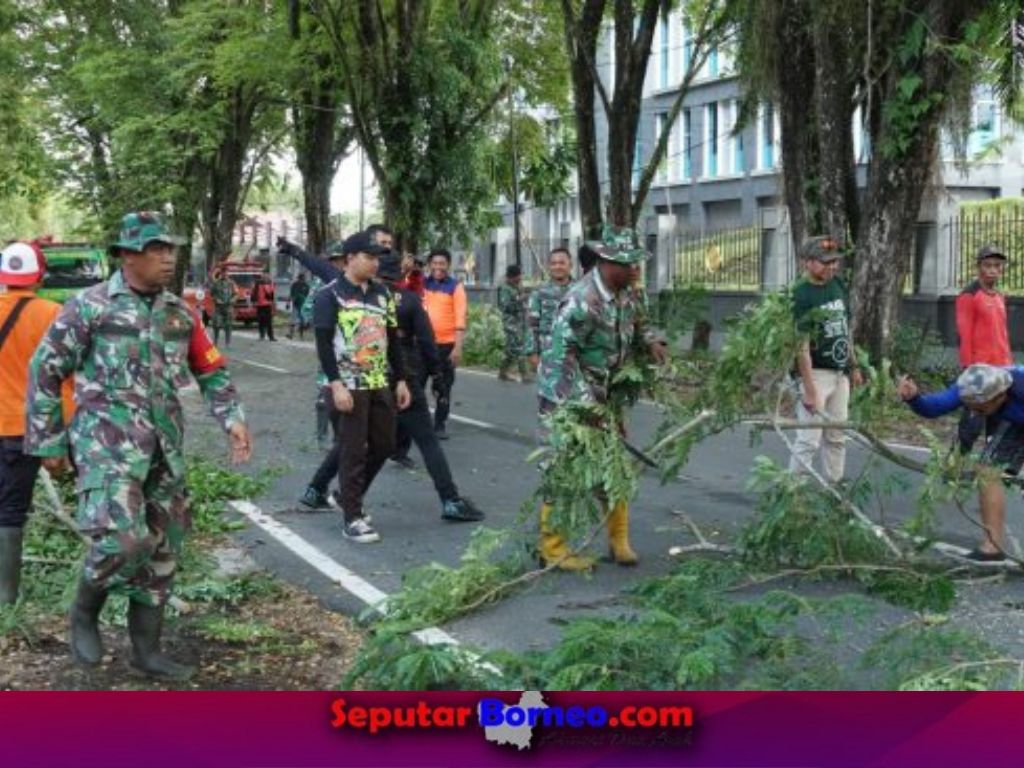 BPBD dan DLH Kota Palangka Raya Tebang Pohon Rawan Tumbang