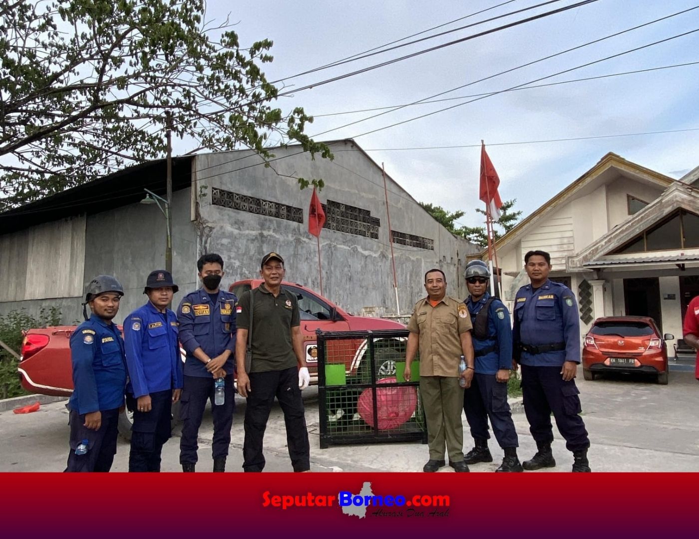 Meresahkan, Beruang Madu Sekitar Perumahan Warga Berhasil Ditangkap