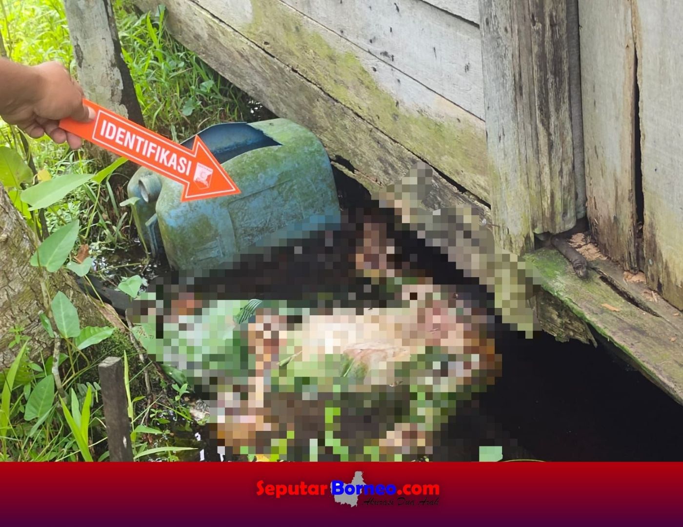 GEGER!!! Warga Raflesia Temukan Mayat Pria Tua Membusuk