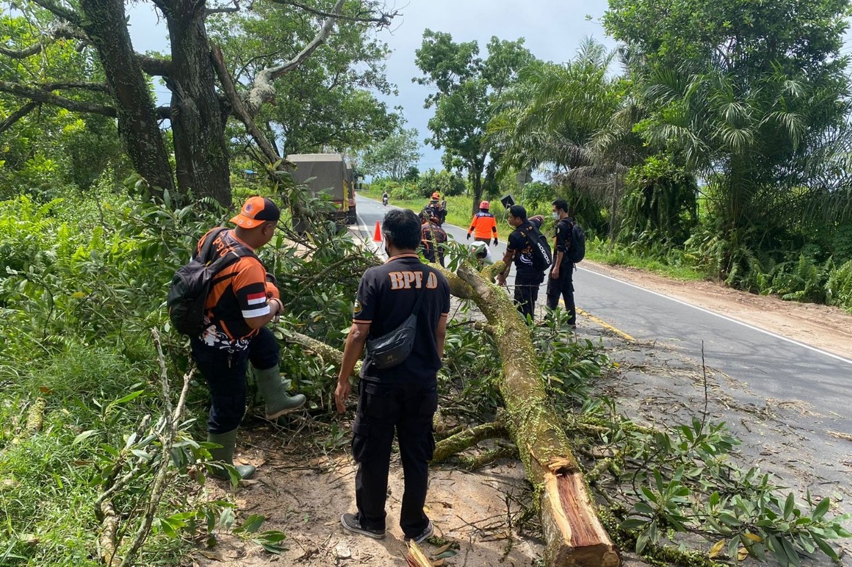 Cegah Korban Lakalantas, Polsek Sebangau Sigap Bersihkan Pohon Tumbang