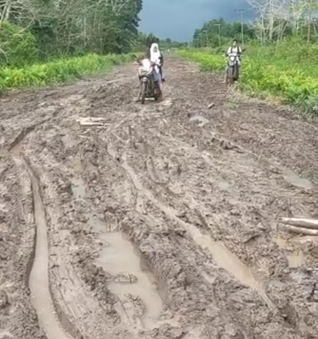Miris, Warga Sebangau Jaya Berjibaku Dengan Jalan Rusak