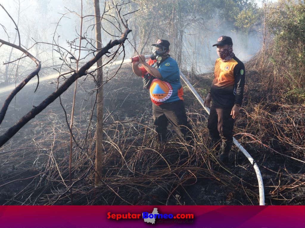 Kemarau Kering, 5 Hektare Lahan Kosong di Petuk Katimpun Terbakar