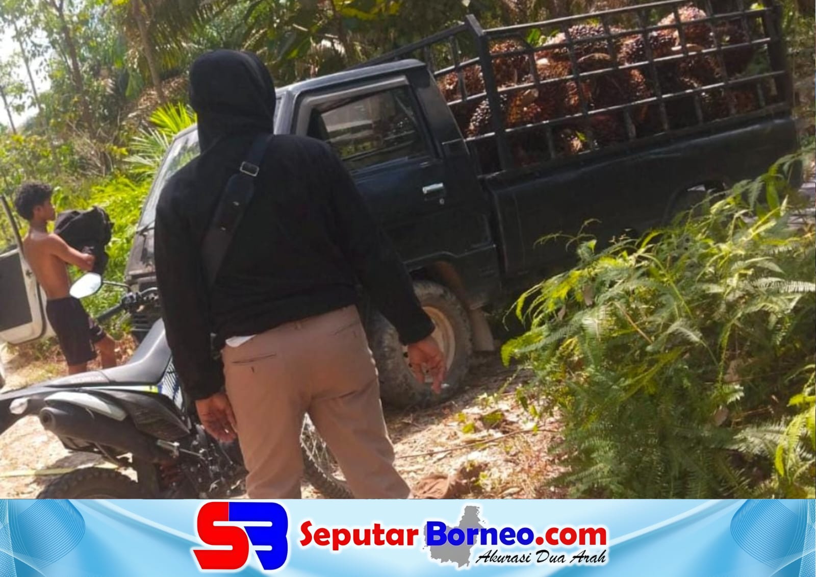Lahan Bumi Perkemahan Dikomersialkan Ditanami Sawit, Camat: Hak Pengelolaan Milik Dispora