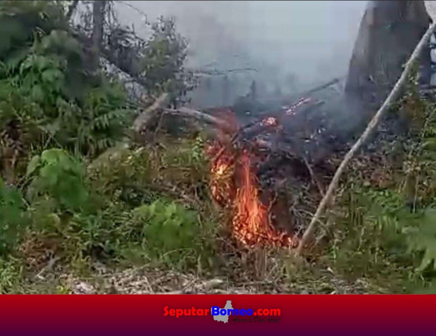Karhutla di Desa Simpur Diduga Unsur Sengaja