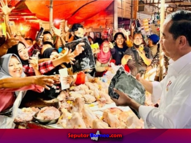 Presiden Joko Widodo Tinjau Komoditas Pangan di Pasar Natar Lampung