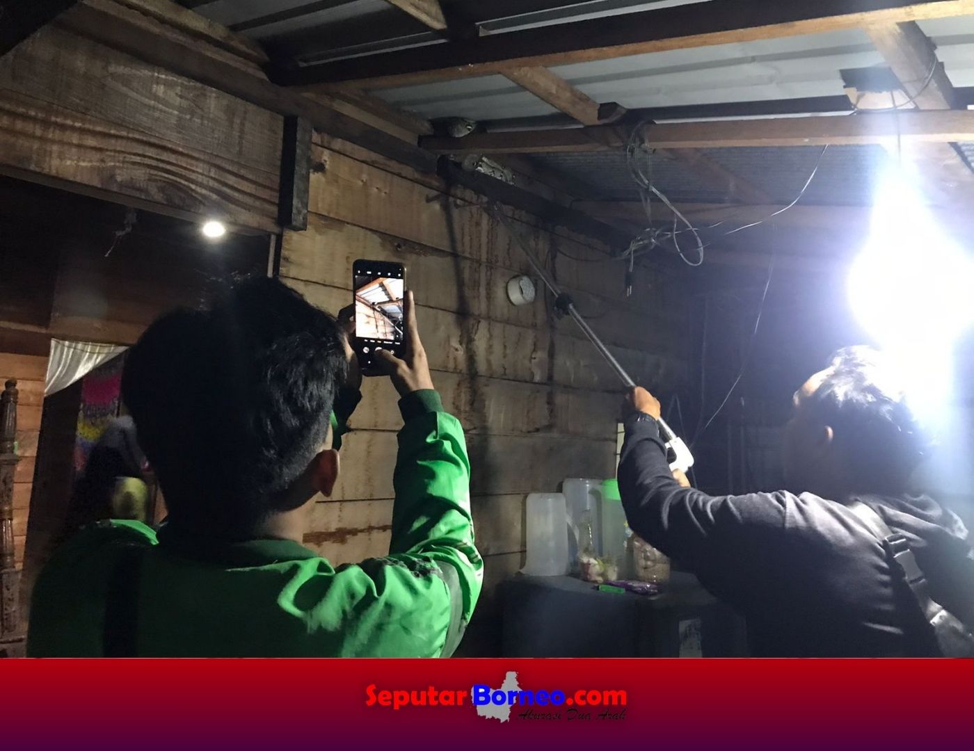 Piton 2 Meter Kejutkan Warga Hendak Cuci Piring 