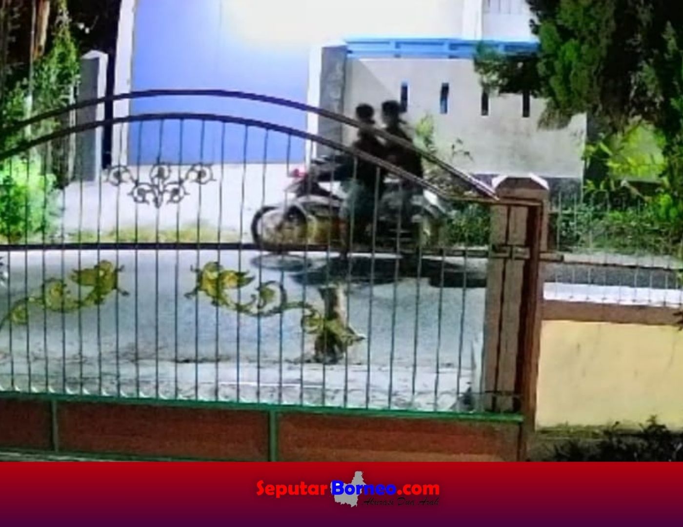Pencurian Anjing di Palangka Raya Terekam CCTV