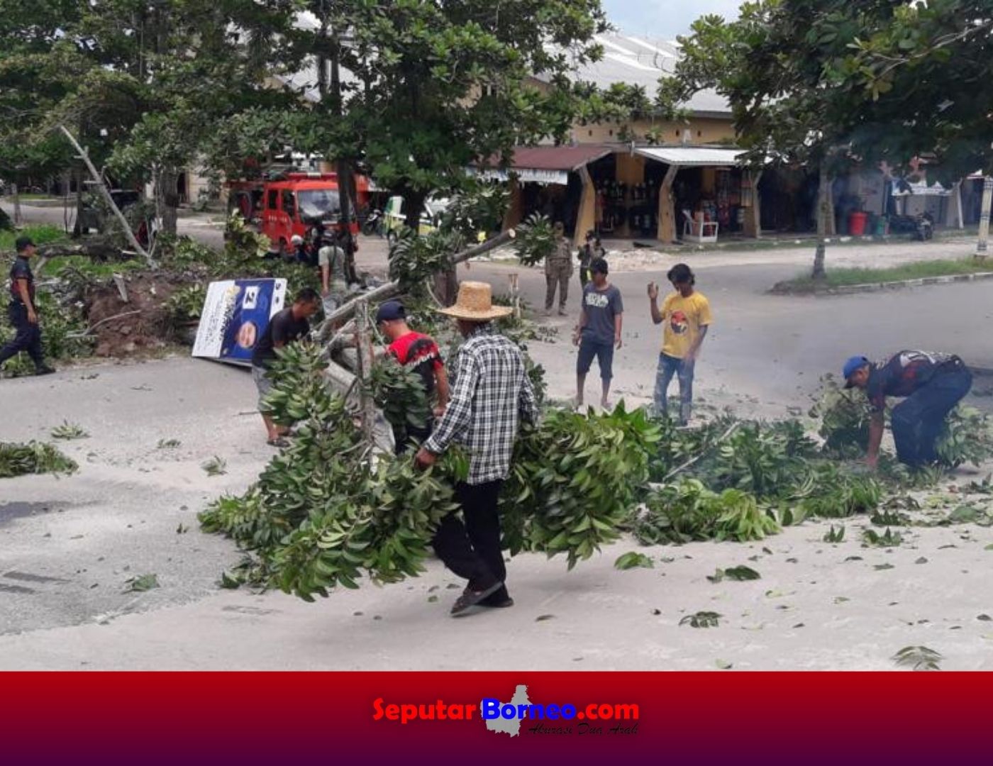 Pohon Tumbang Sempat Ganggu Aktivitas Pasar Kahayan