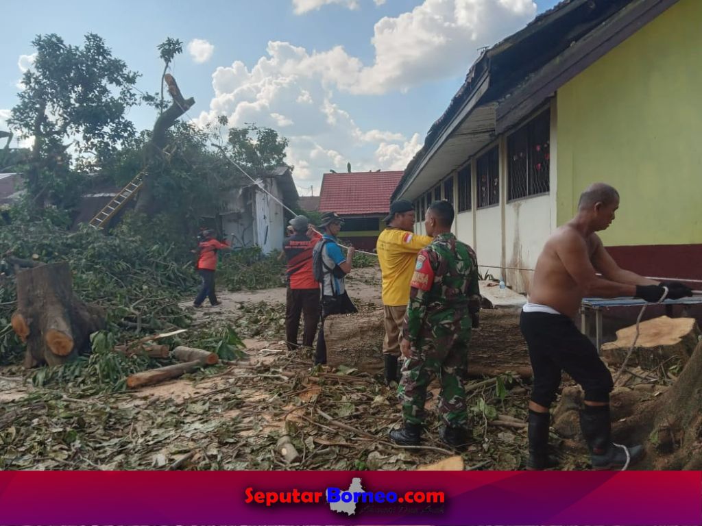 BPBD Palangka Raya dan relawan ketika melakukan pemangkasan terhadap pohon rawan tumbang, Minggu (5/11/2023) kemarin. (FOTO:ISTIMEWA)