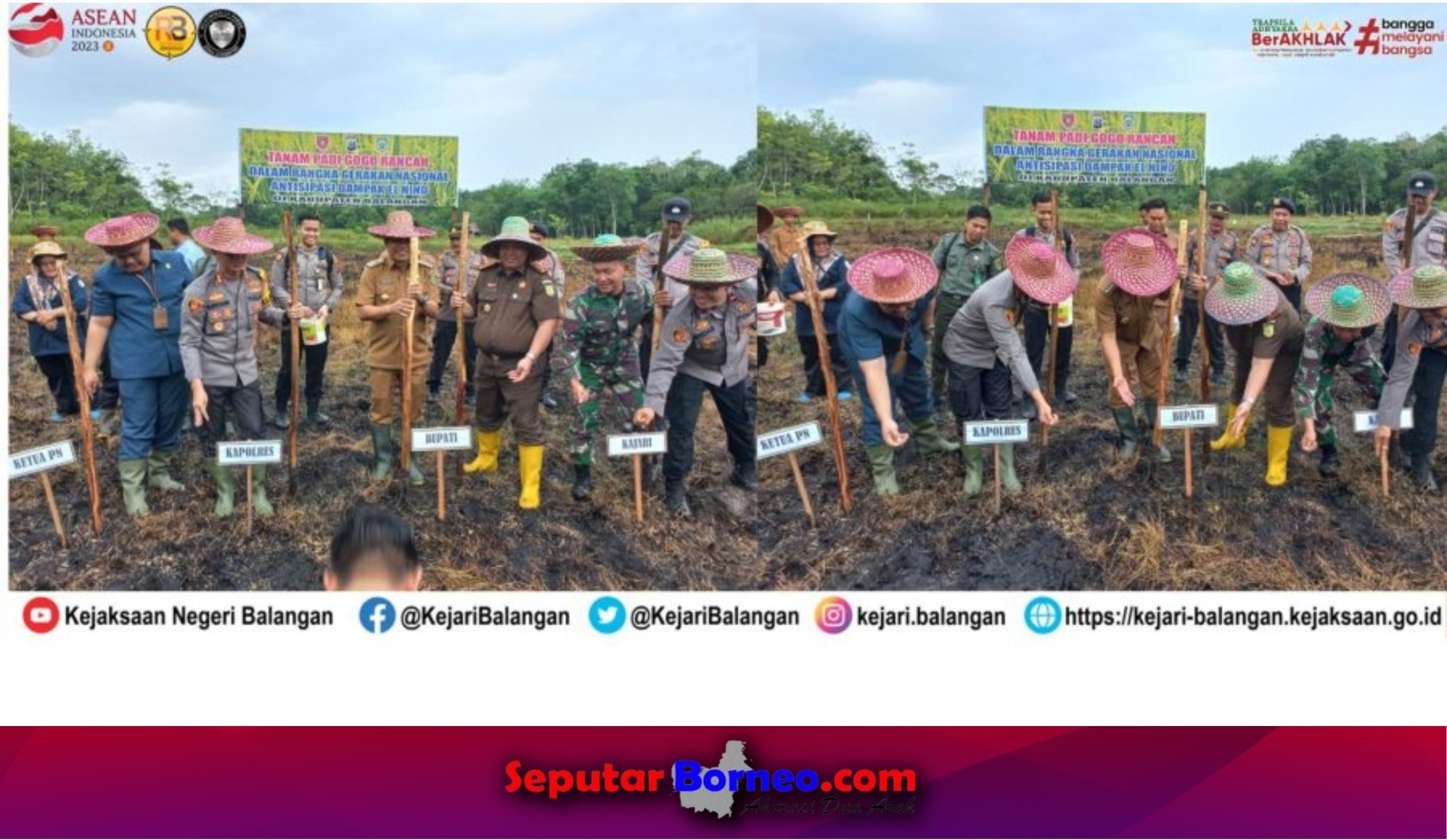 Kajari Balangan Ikut Tanam Padi, Program Antisipasi El Nino