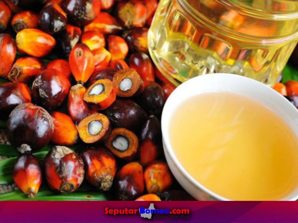 Setelah Mantan Mendag, Kini Giliran ASN Diperiksa Kejagung Kasus Korupsi CPO
