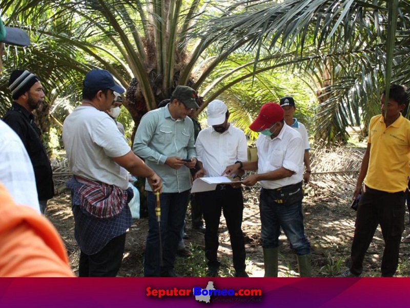 Kejari Aceh Barat Daya Sidik Kerugian Perekonomian Negara Dugaan Tipikor Perusahaan Sawit